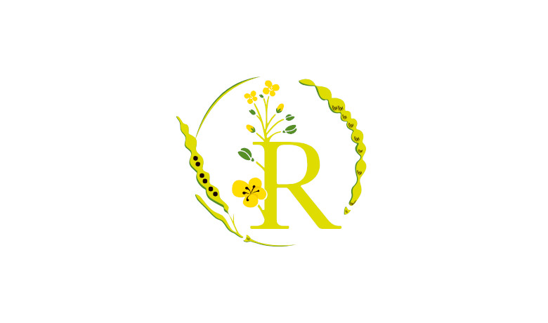 Rügener Rapsöl Rügener Rapsöl
